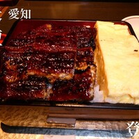 炭焼きうなぎ・かしわ 登河 - 