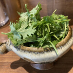 LAMP - 今にも踊りだしそうな新鮮パクチー。
      器もイイでせう？