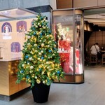 La Brianza - お店へ向かう途中の六本木ヒルズサービスカウンター近くのクリスマスツリー