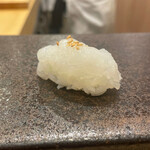 あま木 - ケンサキイカ