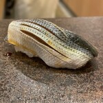 あま木 - こはだ