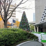 La Brianza - お店へ向かう途中のクリスマスディスプレイ。大きなクリスマスツリー