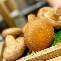 日本橋 蕎ノ字 - 