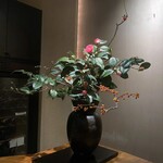 カーヴ - カウンター席