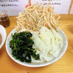 Yamanashi Koufu Udon Pin - 【2022/11】肉天わか玉つけ