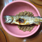 やまめ荘 - 帰った日のわんこのごはん