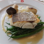 ル・コントワール・ド・ブノワ - メイン）真鯛のオーブン焼き キノコとインゲンのフリカッセ