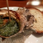 TRATTORIA LA MICHELINA - さざえ