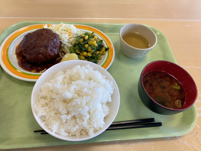 Aichi Kencho Nishi Chosha Shokudo Aichikenchonishichoshashokudo photo 3