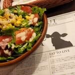 ダグズ・バーガー 石垣島店 - サラダ