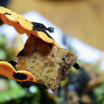 釜山 - ドトリムク