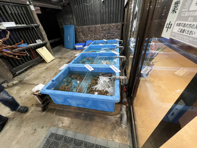 Tango Himonoya photo 3