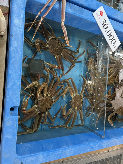 Tango Himonoya photo 2