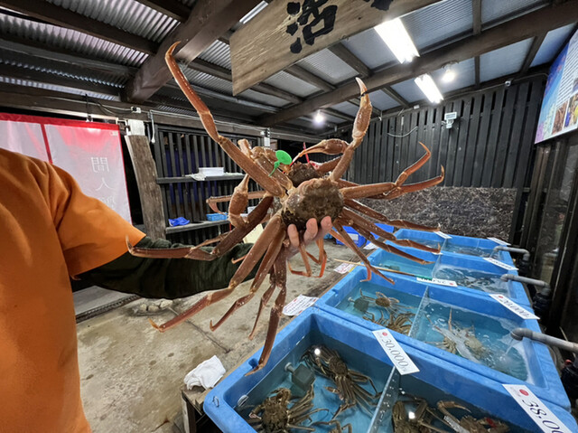 Tango Himonoya photo