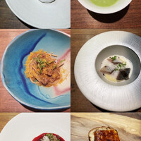 セルサルサーレ - 