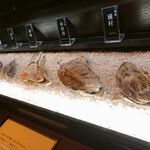 OYSTER BAR 酒肆石花 - 