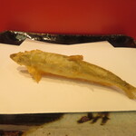 銀座 天一 - 公魚