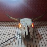 一条流がんこ総本家分家四谷荒木町 - 