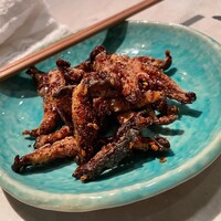 CINA New Modern Chinese - 