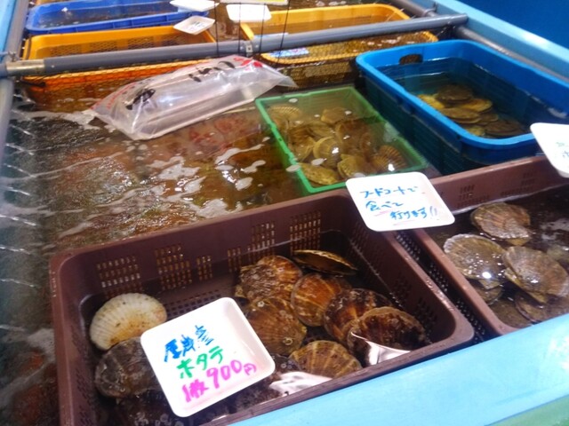 春木商店 - 函館（海鮮）の写真