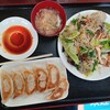 Koufuku - 焼きビーフン　餃子(豚肉と白菜)