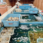 浜焼き 漁師小屋 - 