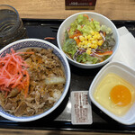 Yoshinoya - 牛丼並448円+玉子85円+生野菜サラダ151円