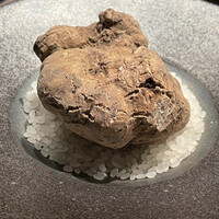 USHIGORO S. NISHIAZABU - 