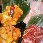 桜川酒場　情熱ホルモン - 