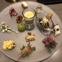オッジ ダルマット 西麻布店 - 