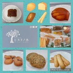 Patisserie ヒカリノ木 - 