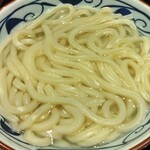 Marugame Seimen - 釜揚げうどん(大)