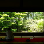 宝泉院 - 額縁庭園 竹林