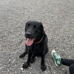 ホテル小野浦 - 