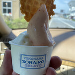 Yokohama SORAiRO gelato - 