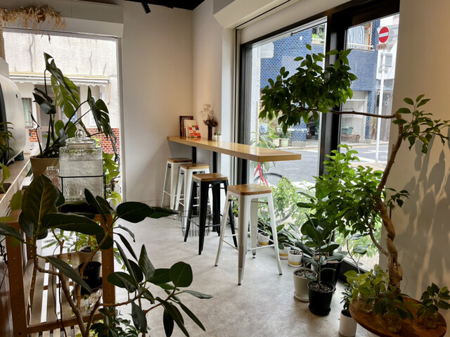 astreacoffee photo 5