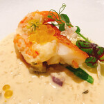 JINBO MINAMI AOYAMA - 