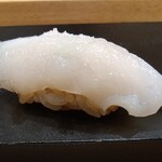 鮨 乃すけ  - アオリイカ