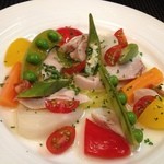 サンフォコン - 春野菜とウサギ