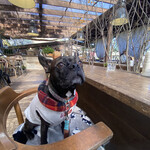 アールケイ ガーデン - 