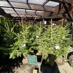 アールケイ ガーデン - 