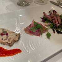 アマルフィイ・モデルナ - 