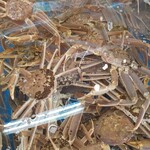 津山商店 城崎店 - 