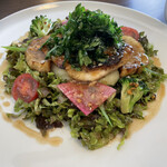 イッショウ アジル - 