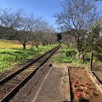 たけのこ - 総元駅