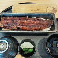 うなぎ四代目菊川 中洲春吉店 - うなぎ1本重
