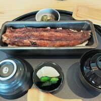 うなぎ四代目菊川 中洲春吉店 - うなぎ1本重