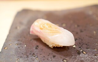 Sushi Matsumoto - 鯛