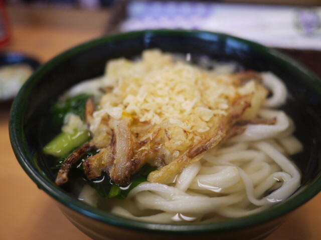 Kansai Fu Teuchi Udon Irasshai photo 3