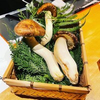 馳走 啐啄一十  - 